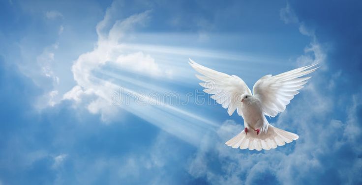 May 11-18, 27 A.D. – The Year of the Lord’s Favor #30