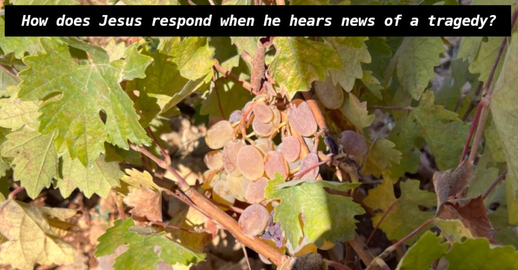 January 20, 27 A.D.  –  The Bad News First, then the Good —   The Year of the Lord’s Favor&nbsp;#68